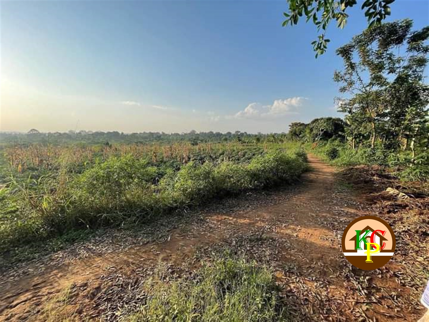 Residential Land for sale in Busiika Wakiso