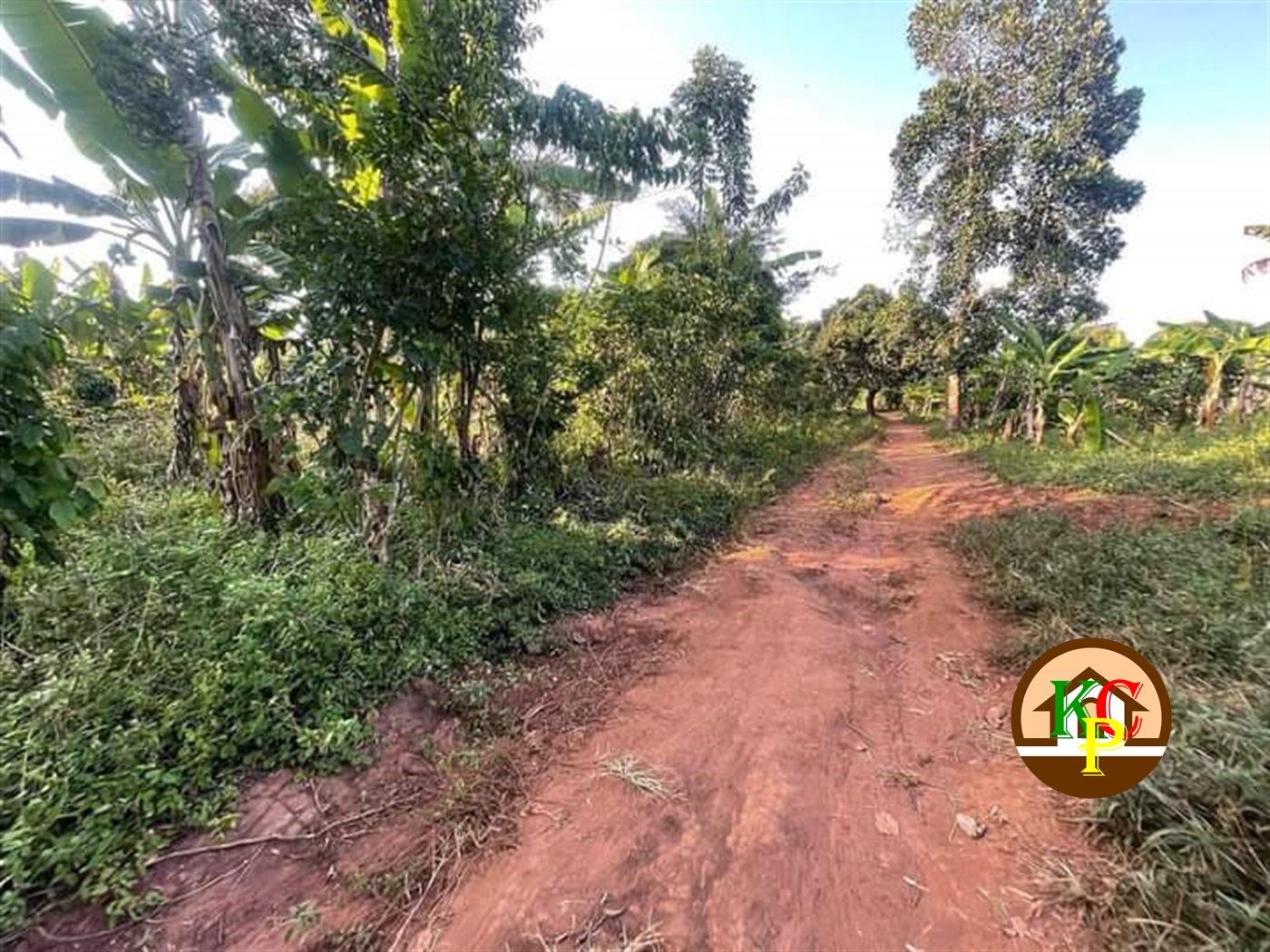 Residential Land for sale in Busiika Wakiso