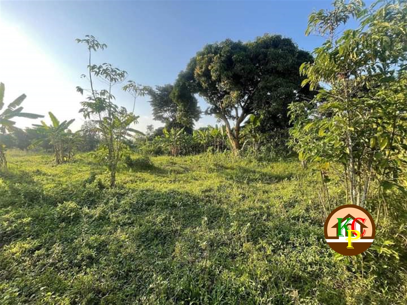 Residential Land for sale in Busiika Wakiso