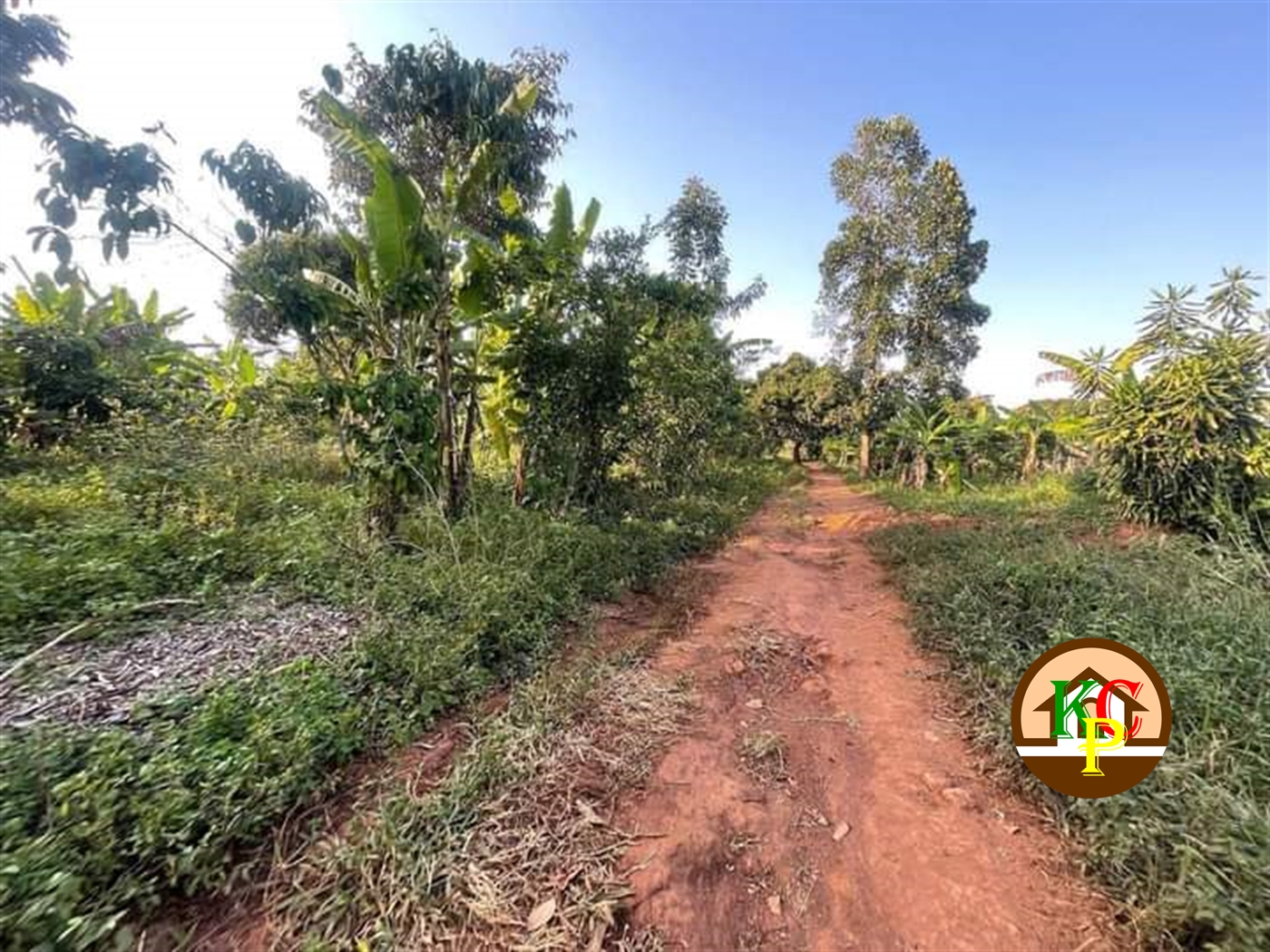 Residential Land for sale in Busiika Wakiso