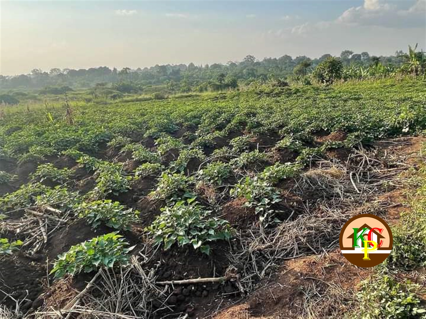 Residential Land for sale in Busiika Wakiso