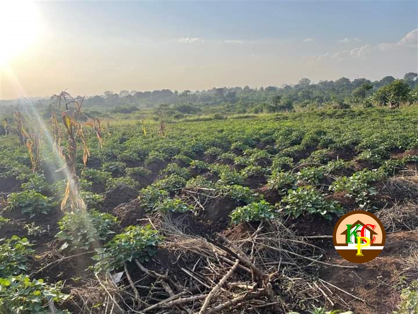 Residential Land for sale in Busiika Wakiso