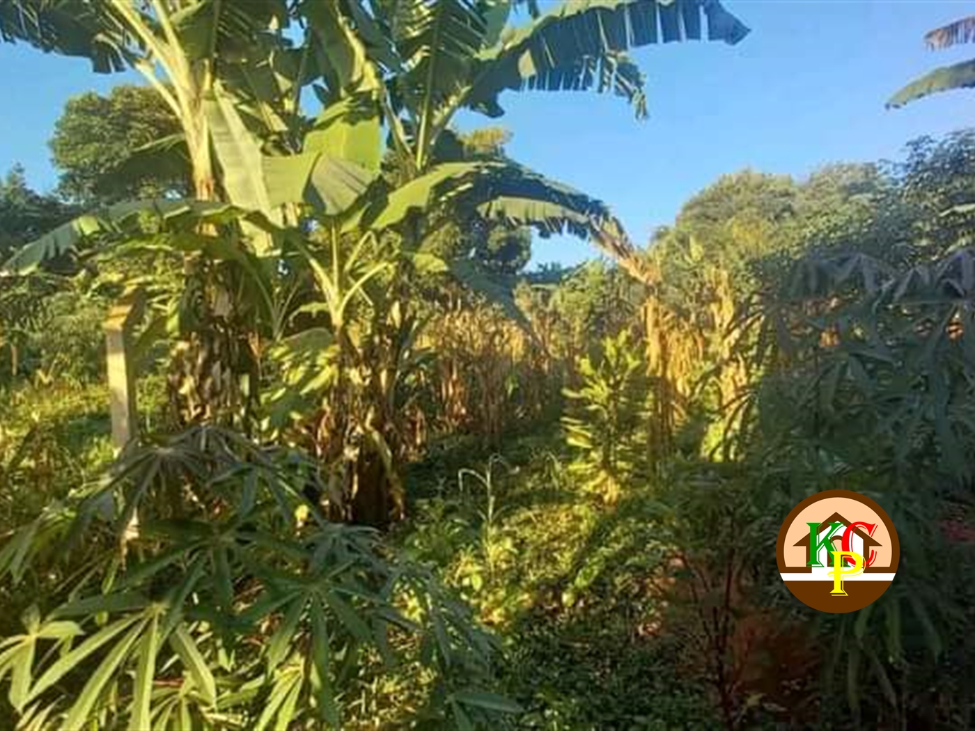 Residential Land for sale in Kungu Wakiso