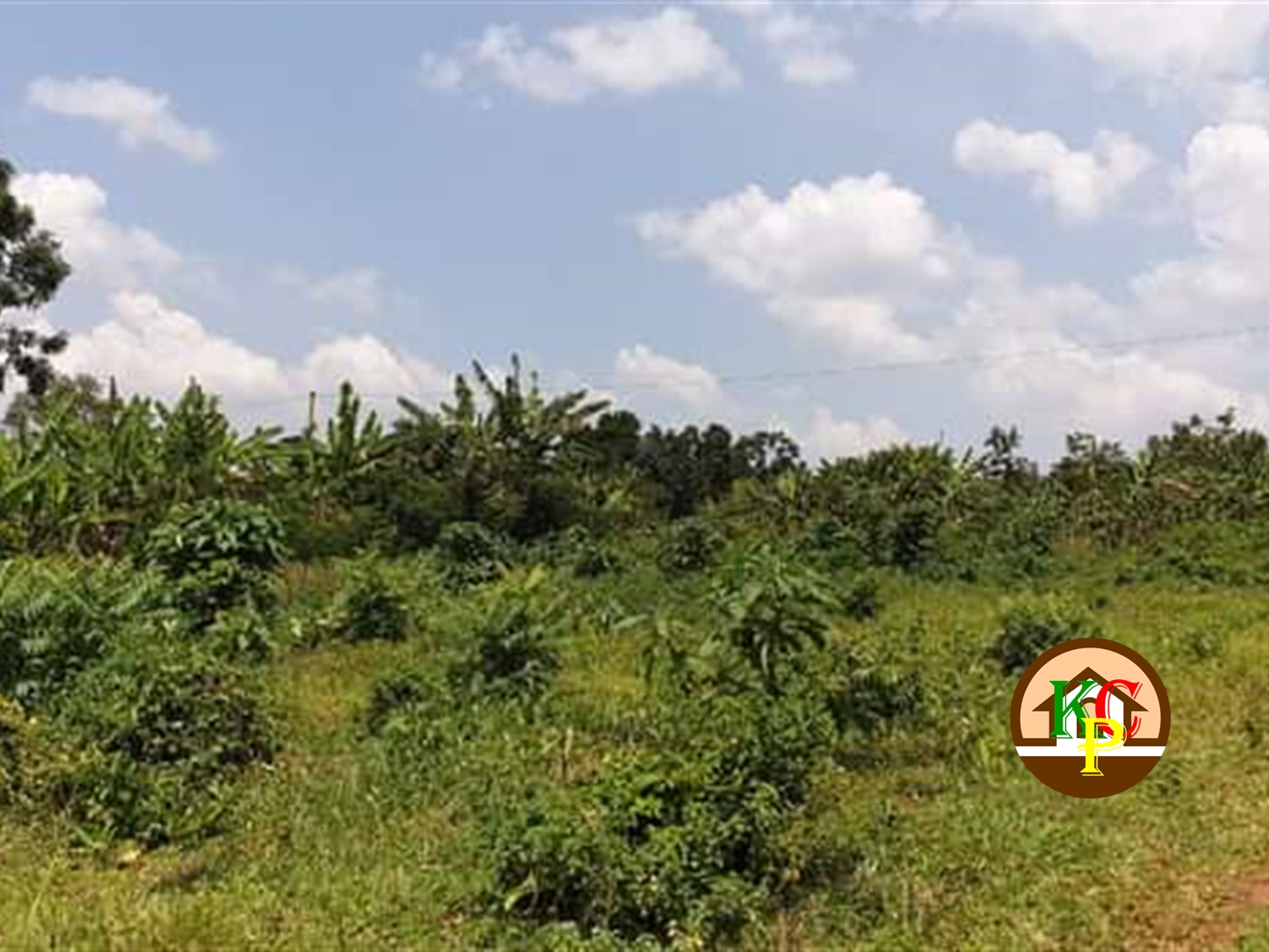 Residential Land for sale in Kiwenda Wakiso