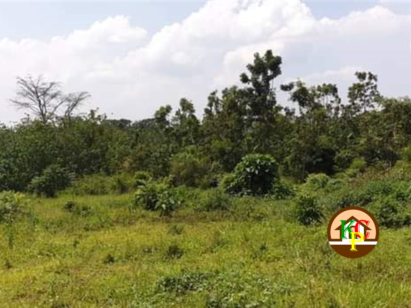 Residential Land for sale in Kiwenda Wakiso