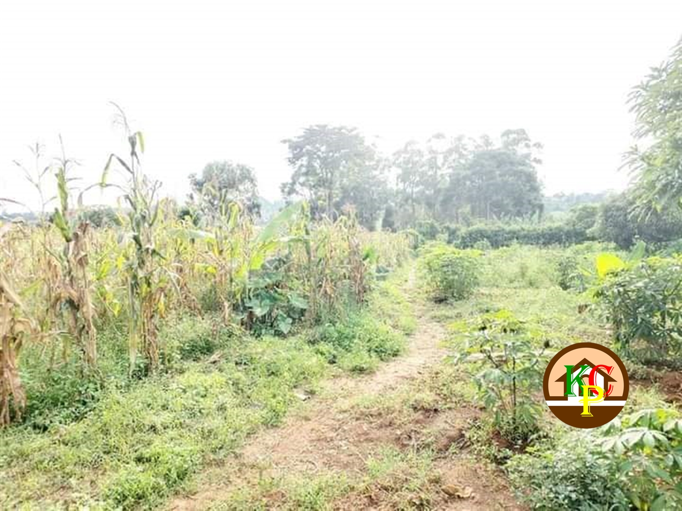 Residential Land for sale in Kira Wakiso