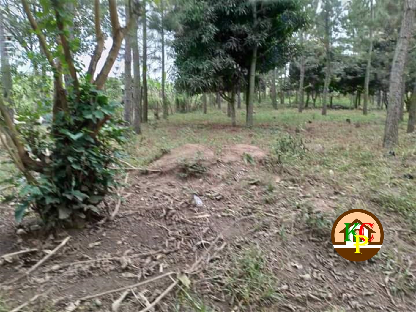 Residential Land for sale in Kasana Luweero