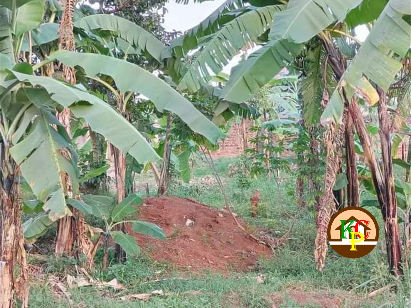 Residential Land for sale in Kyanja Kampala