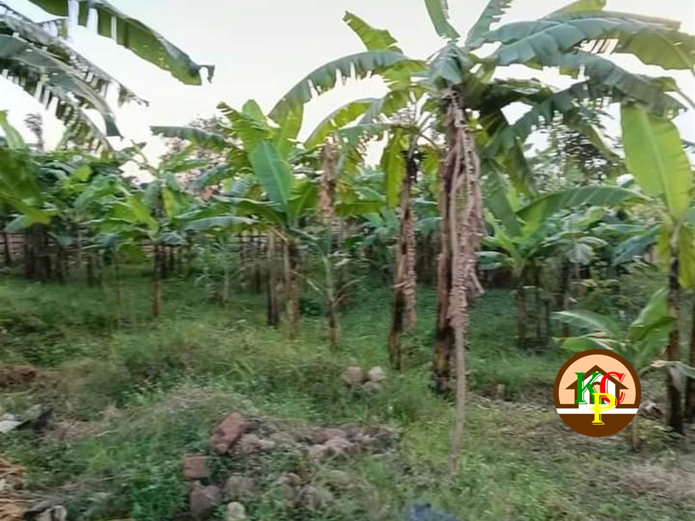 Residential Land for sale in Kyanja Kampala