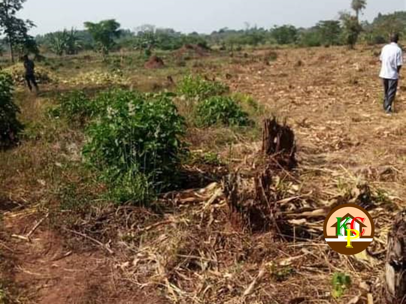 Residential Land for sale in Kakonge Luweero