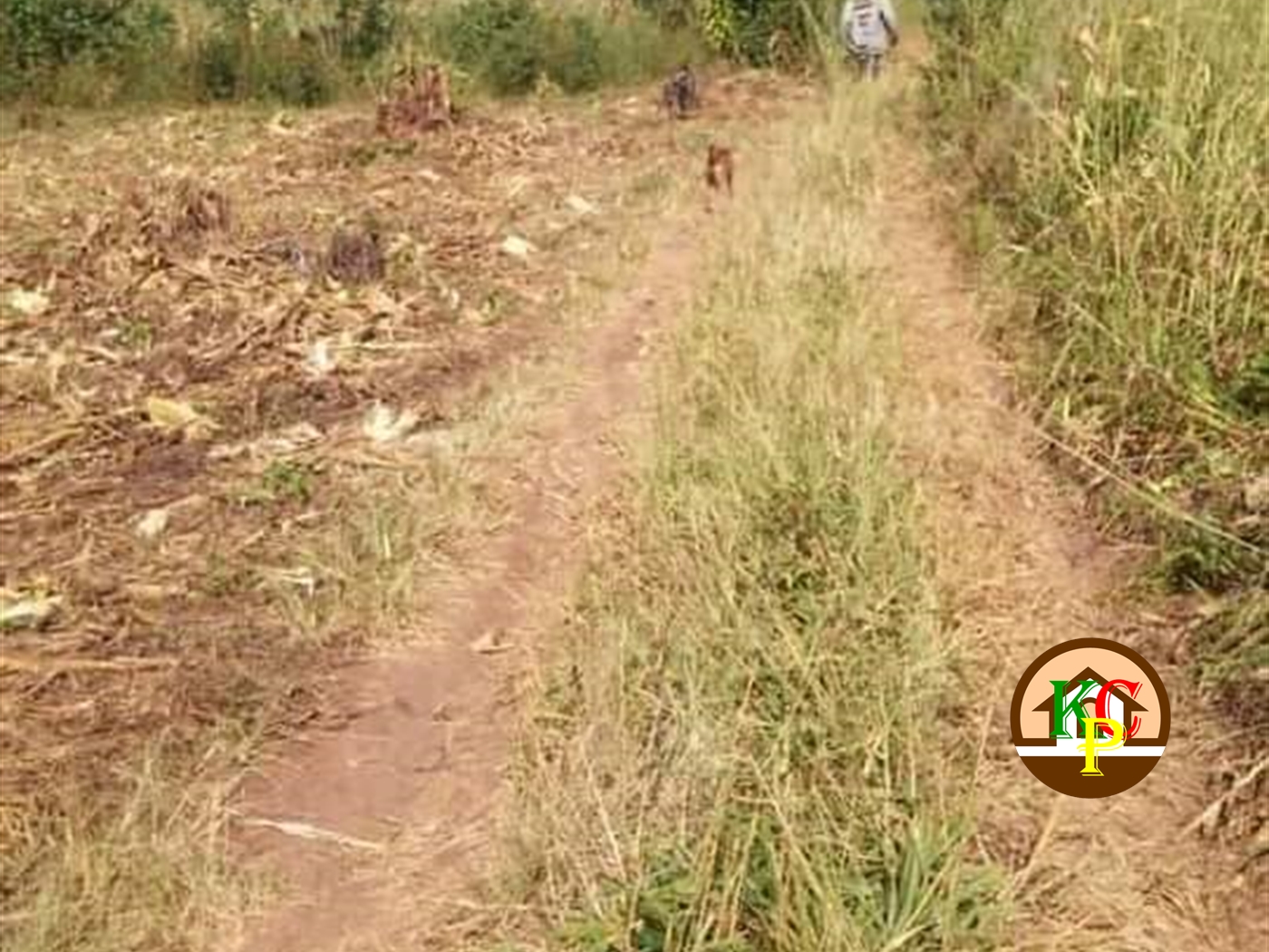 Residential Land for sale in Kakonge Luweero