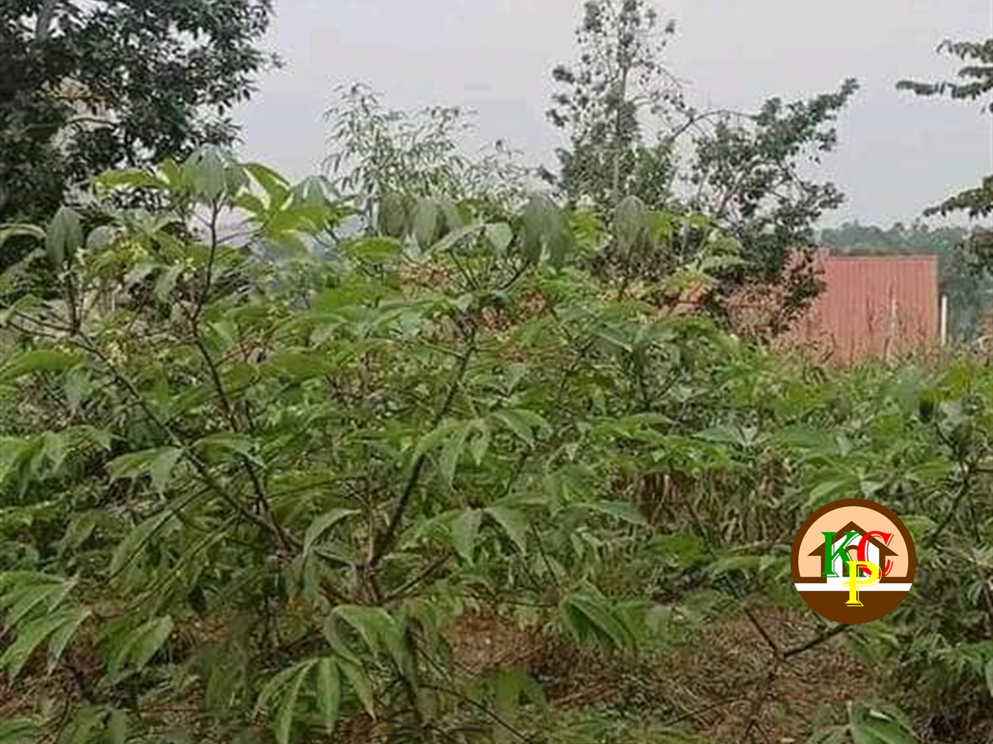 Residential Land for sale in Kakooge Wakiso