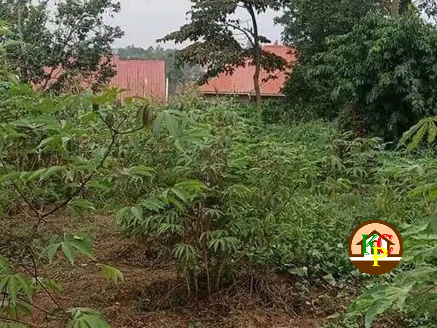 Residential Land for sale in Kakooge Wakiso