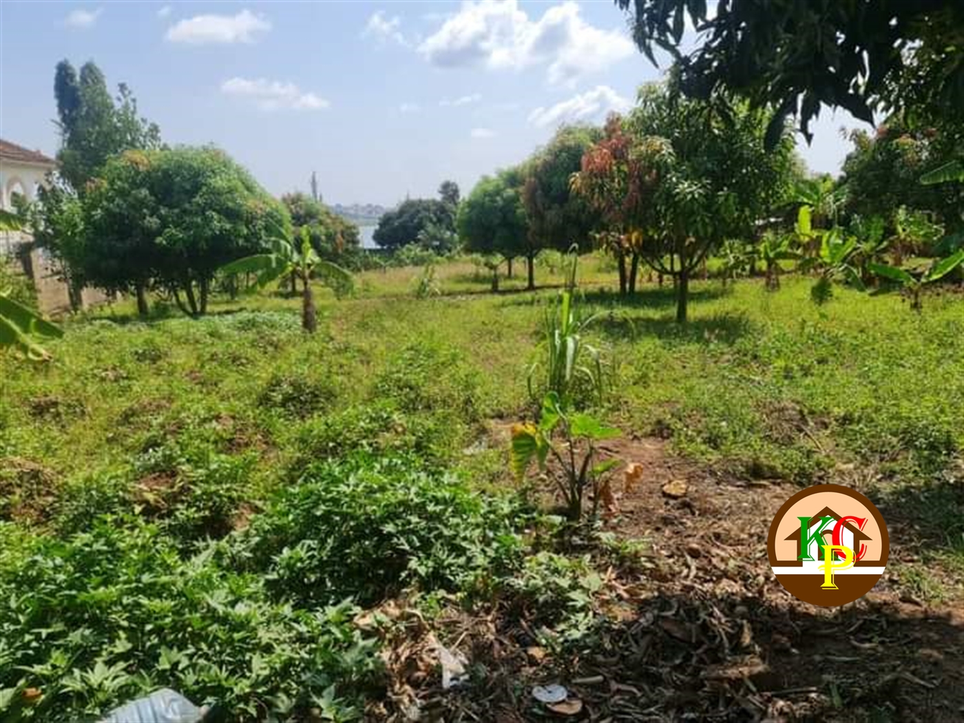 Residential Land for sale in Muyenga Kampala