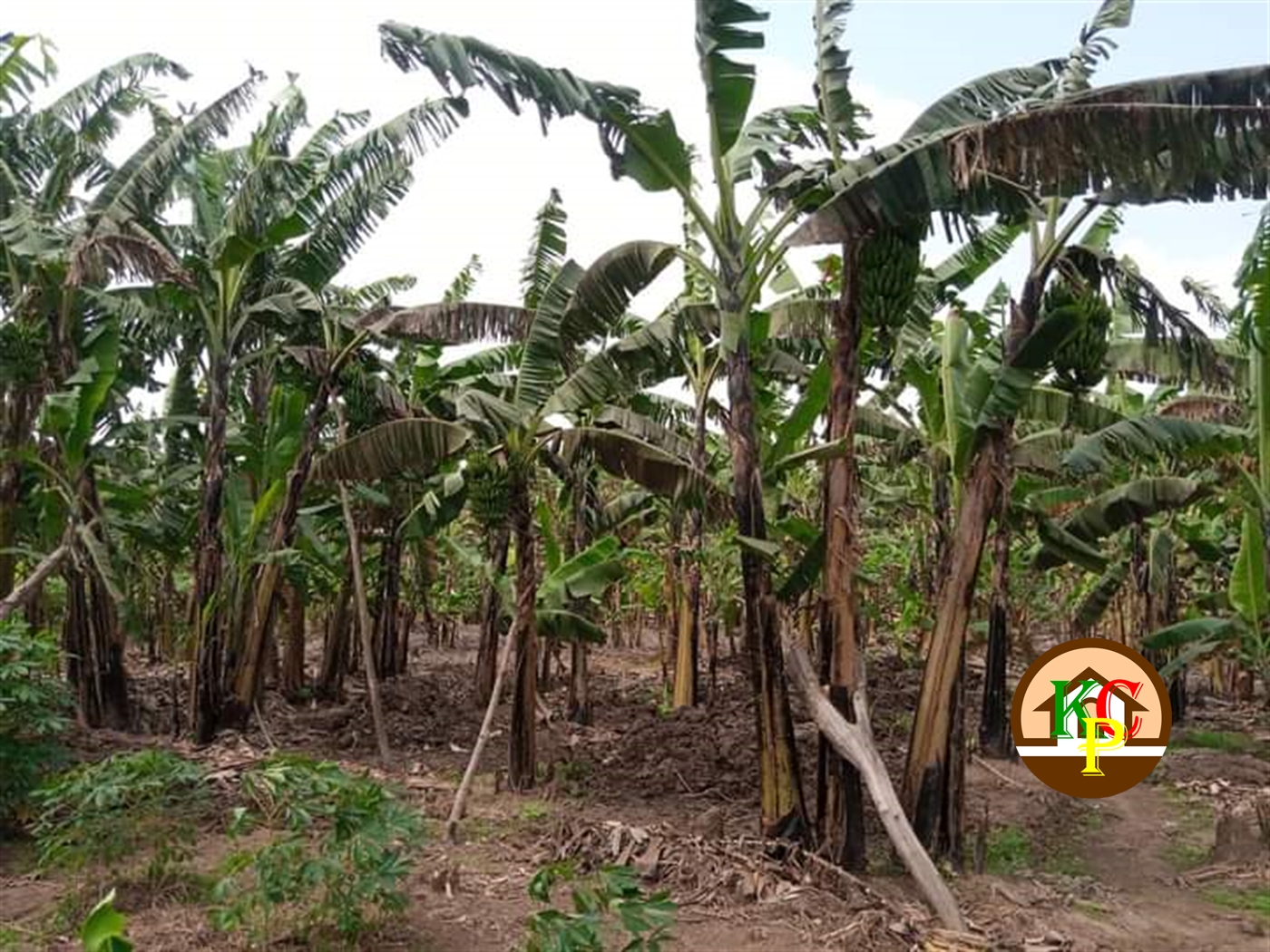 Residential Land for sale in Namugongo Wakiso