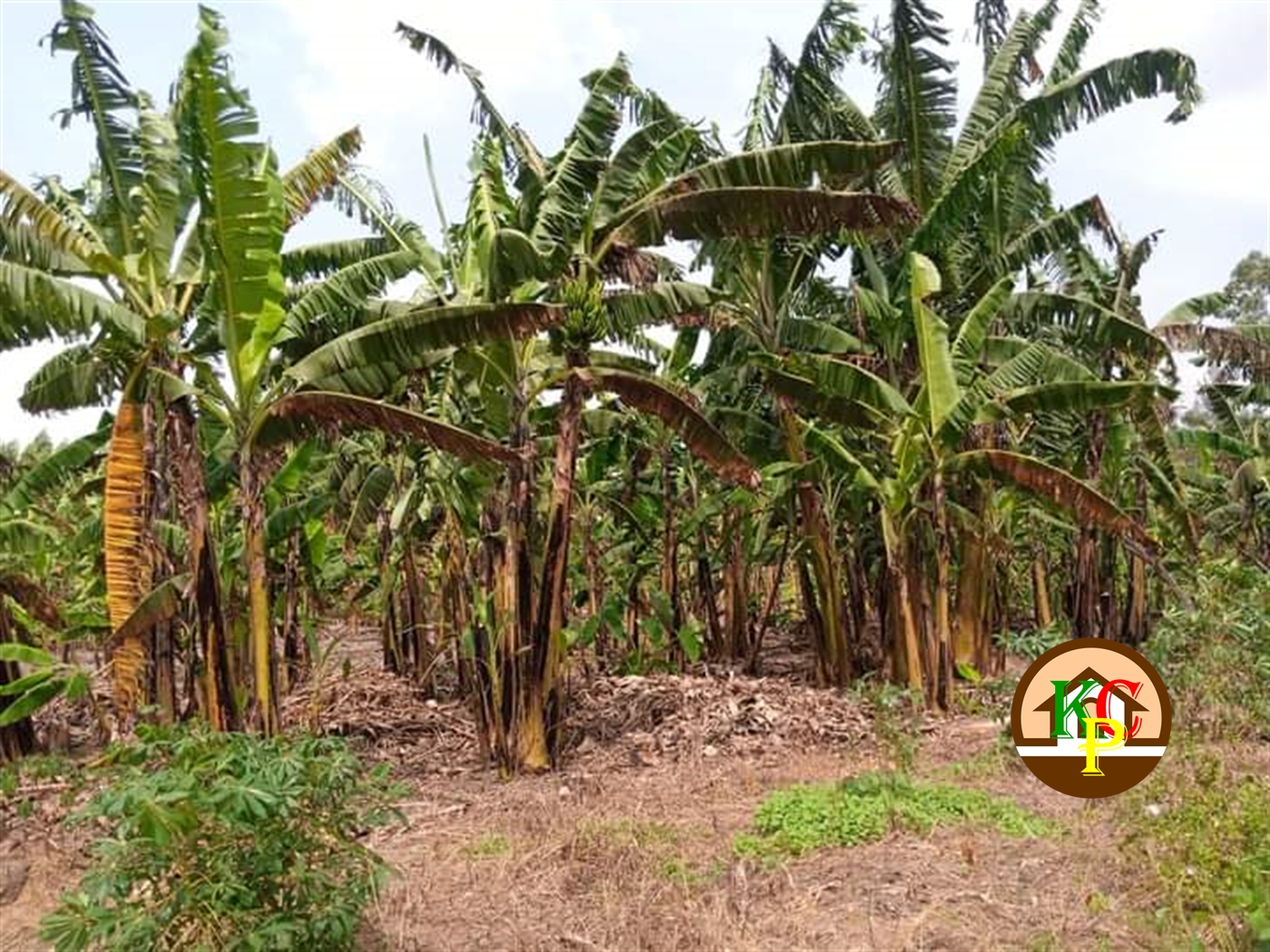 Residential Land for sale in Namugongo Wakiso