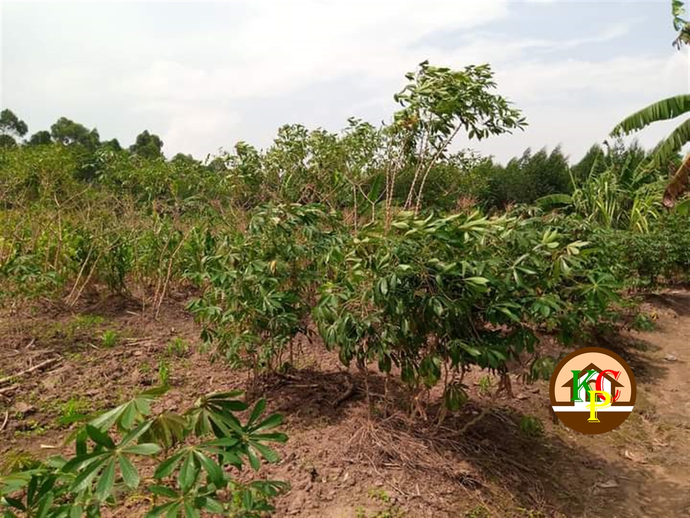 Residential Land for sale in Namugongo Wakiso