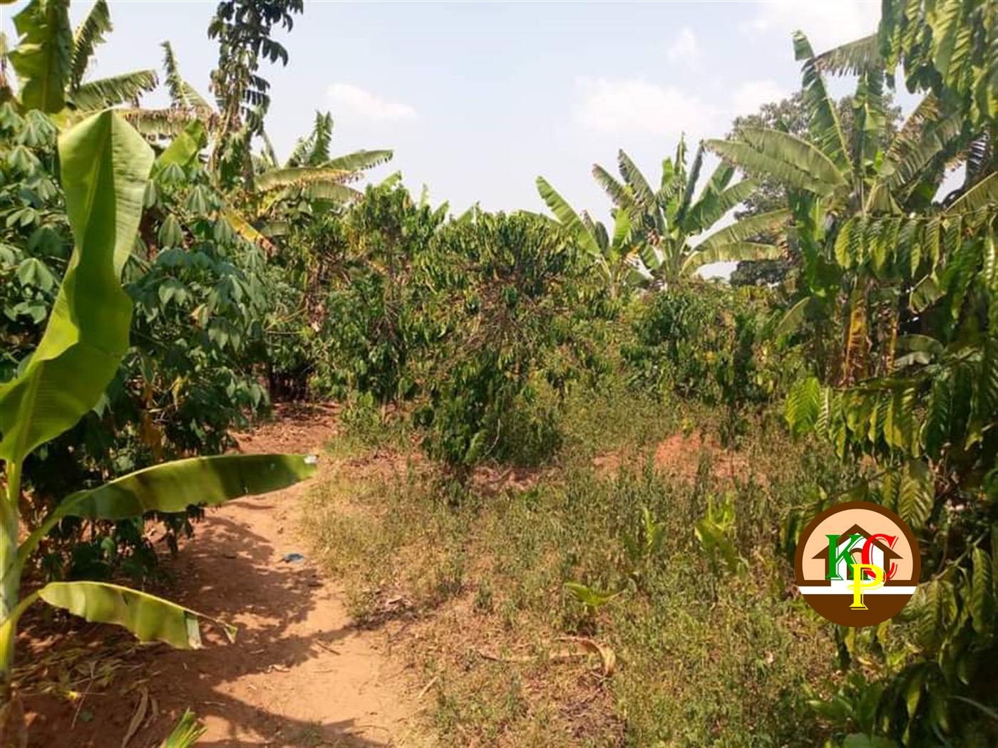 Residential Land for sale in Kiyunga Mukono