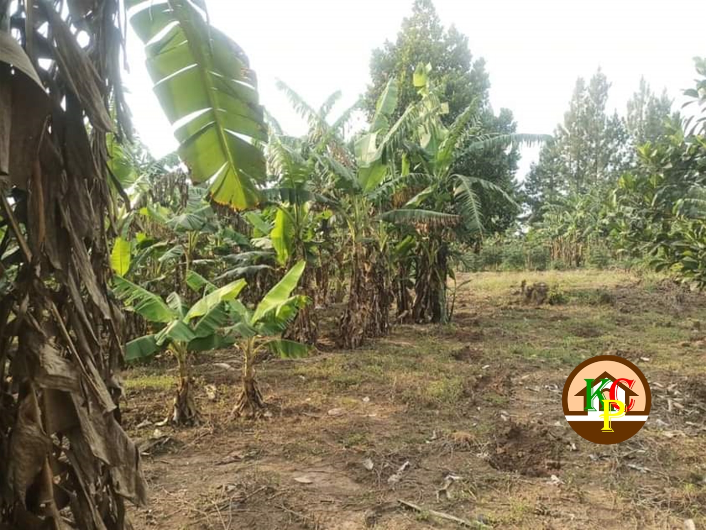 Residential Land for sale in Kiwebwa Kampala