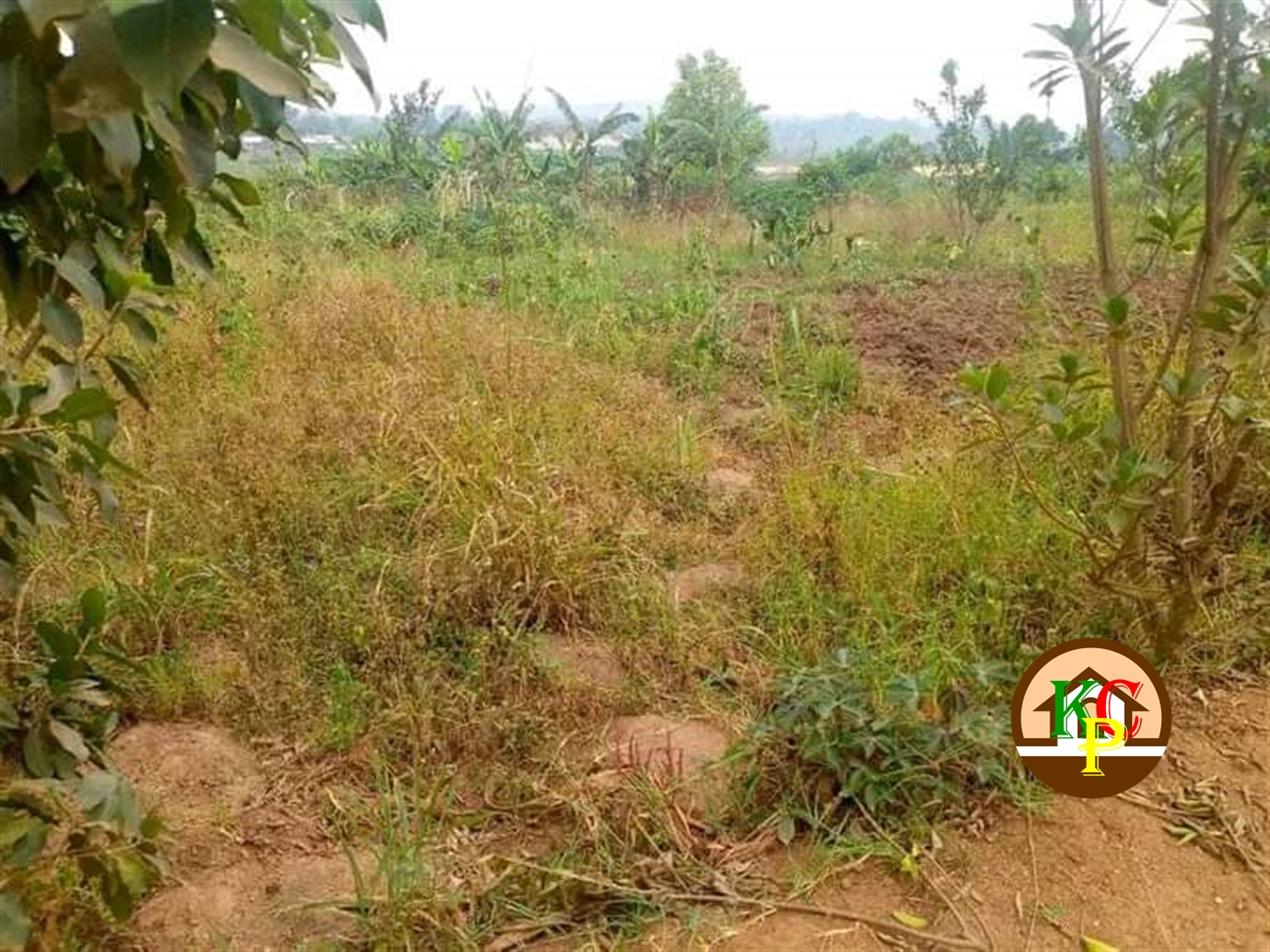 Residential Land for sale in Gayaza Wakiso