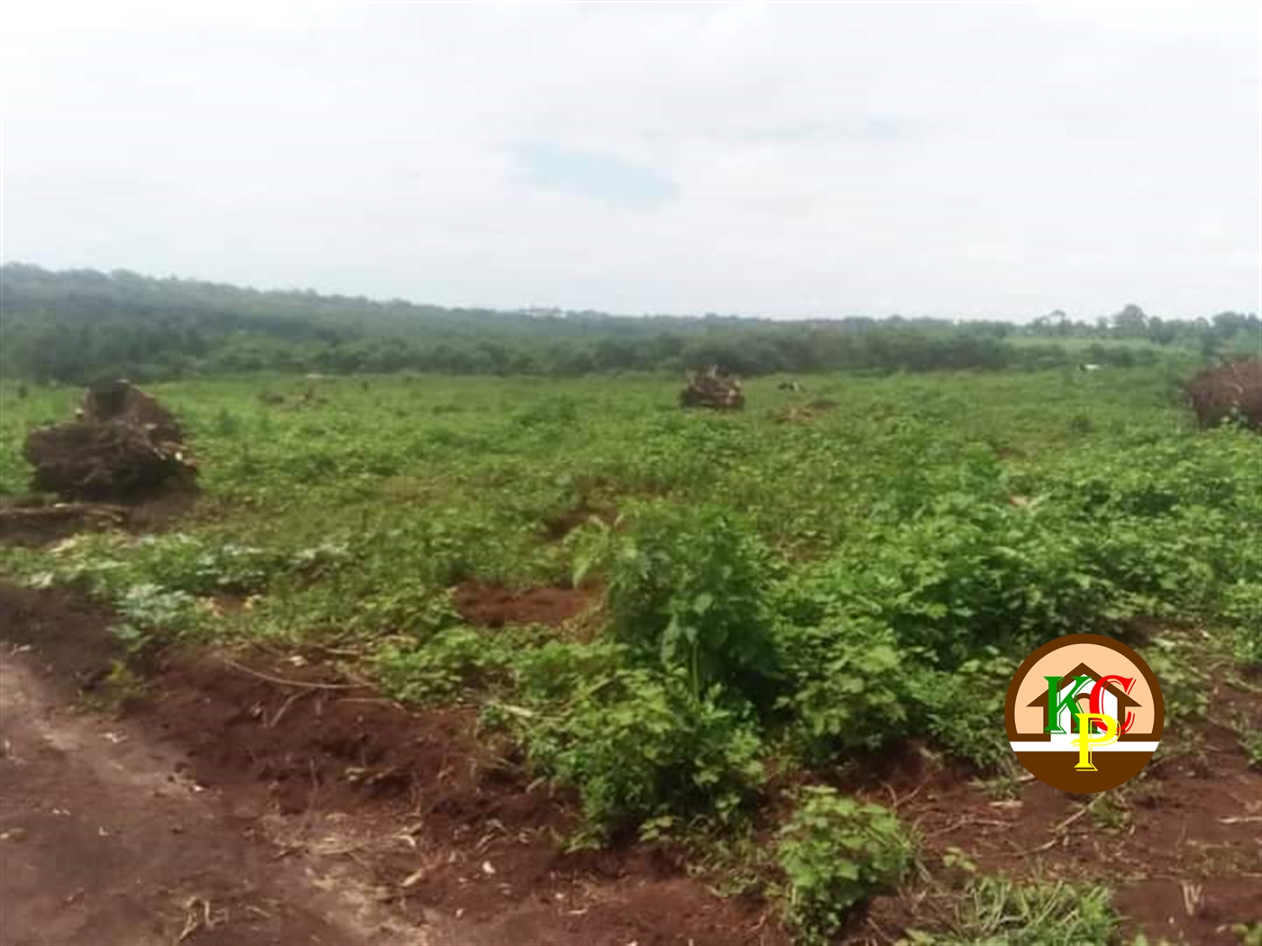 Residential Land for sale in Gayaza Wakiso