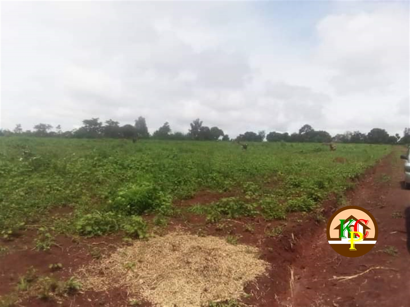 Residential Land for sale in Gayaza Wakiso