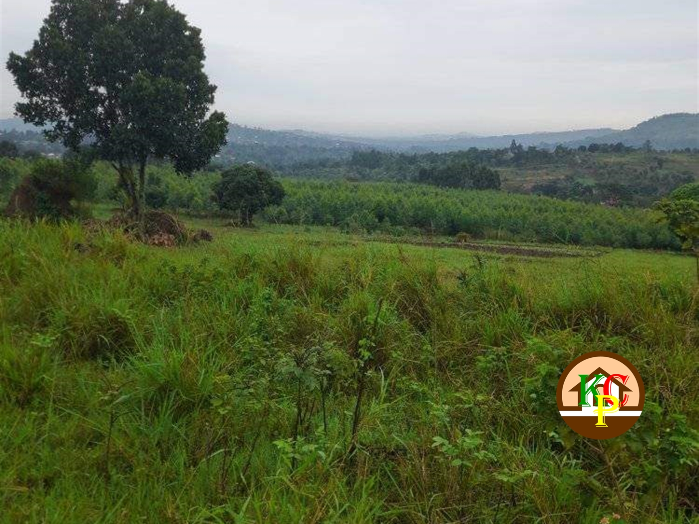 Residential Land for sale in Zigoti Mityana