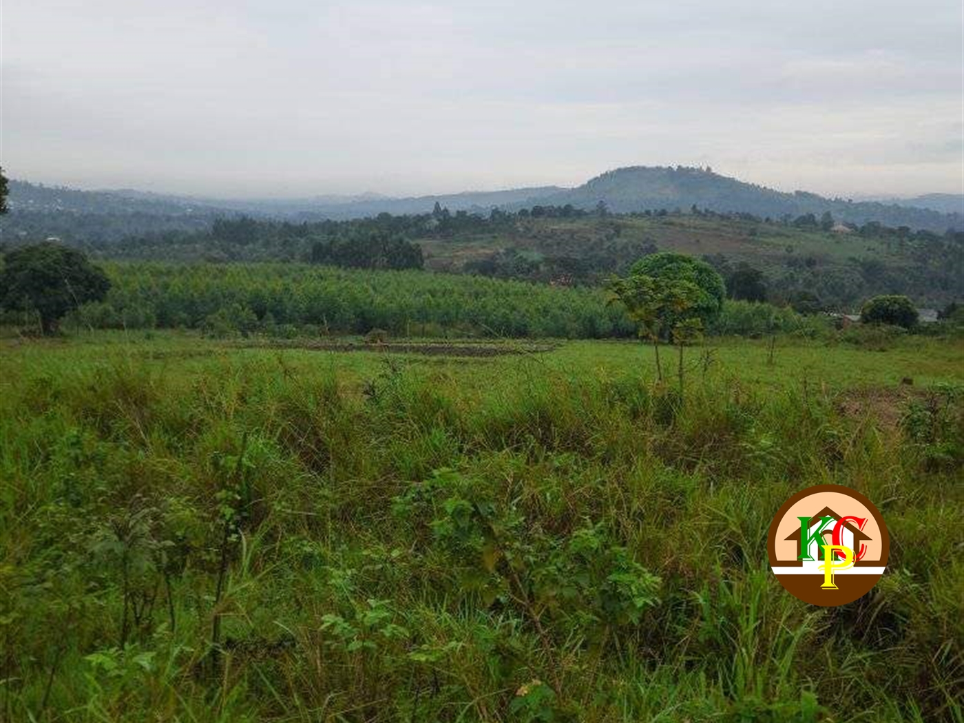 Residential Land for sale in Zigoti Mityana