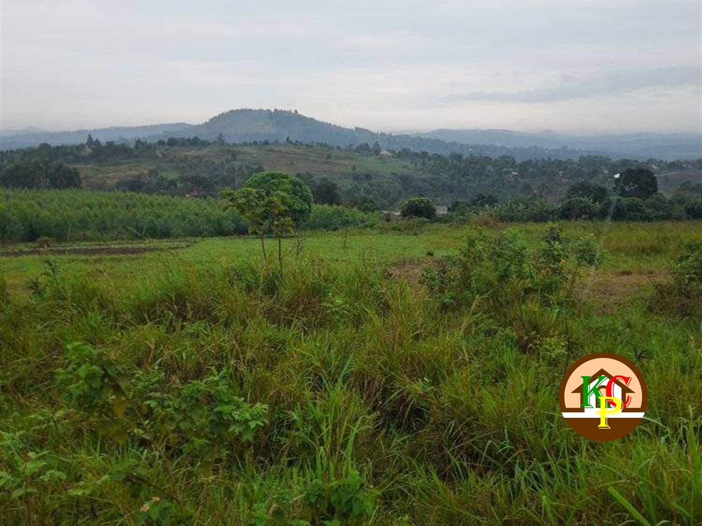 Residential Land for sale in Zigoti Mityana