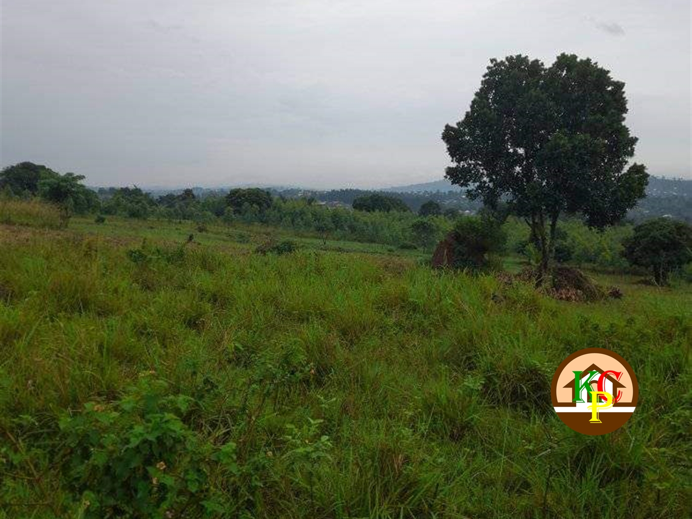 Residential Land for sale in Zigoti Mityana