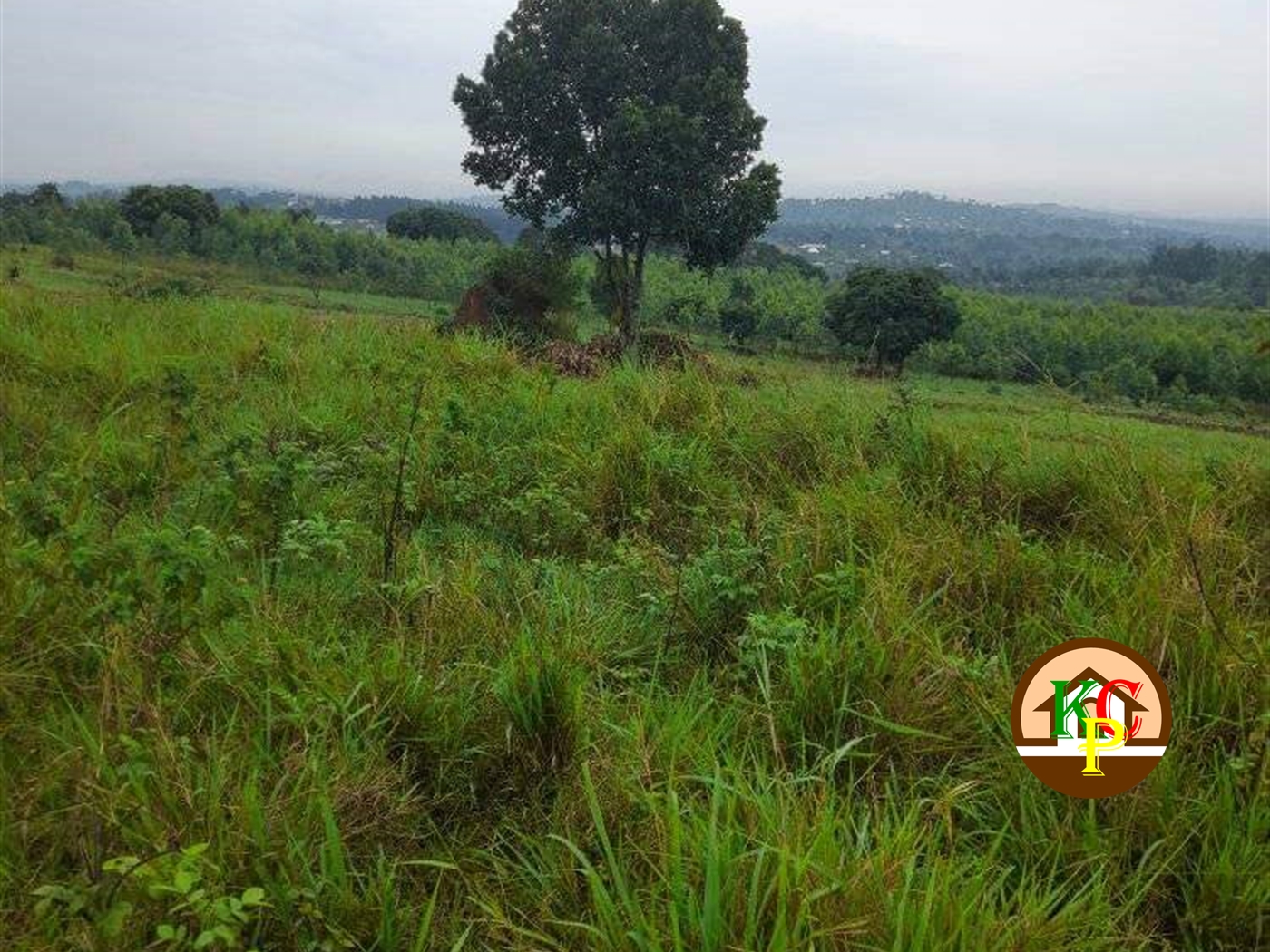 Residential Land for sale in Zigoti Mityana