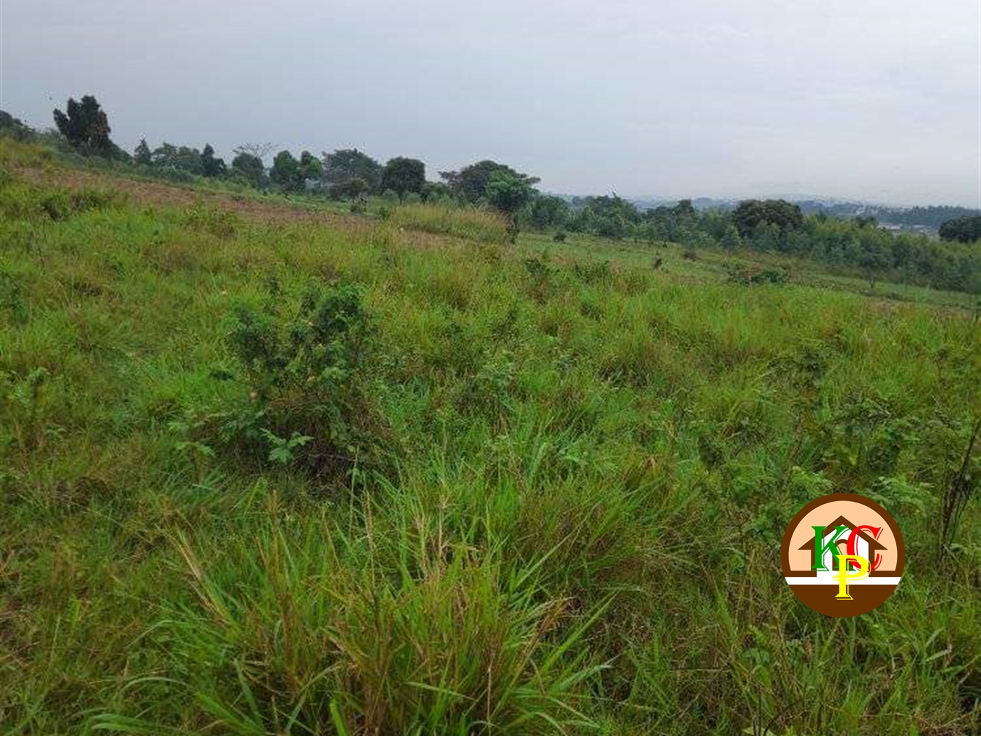 Residential Land for sale in Zigoti Mityana