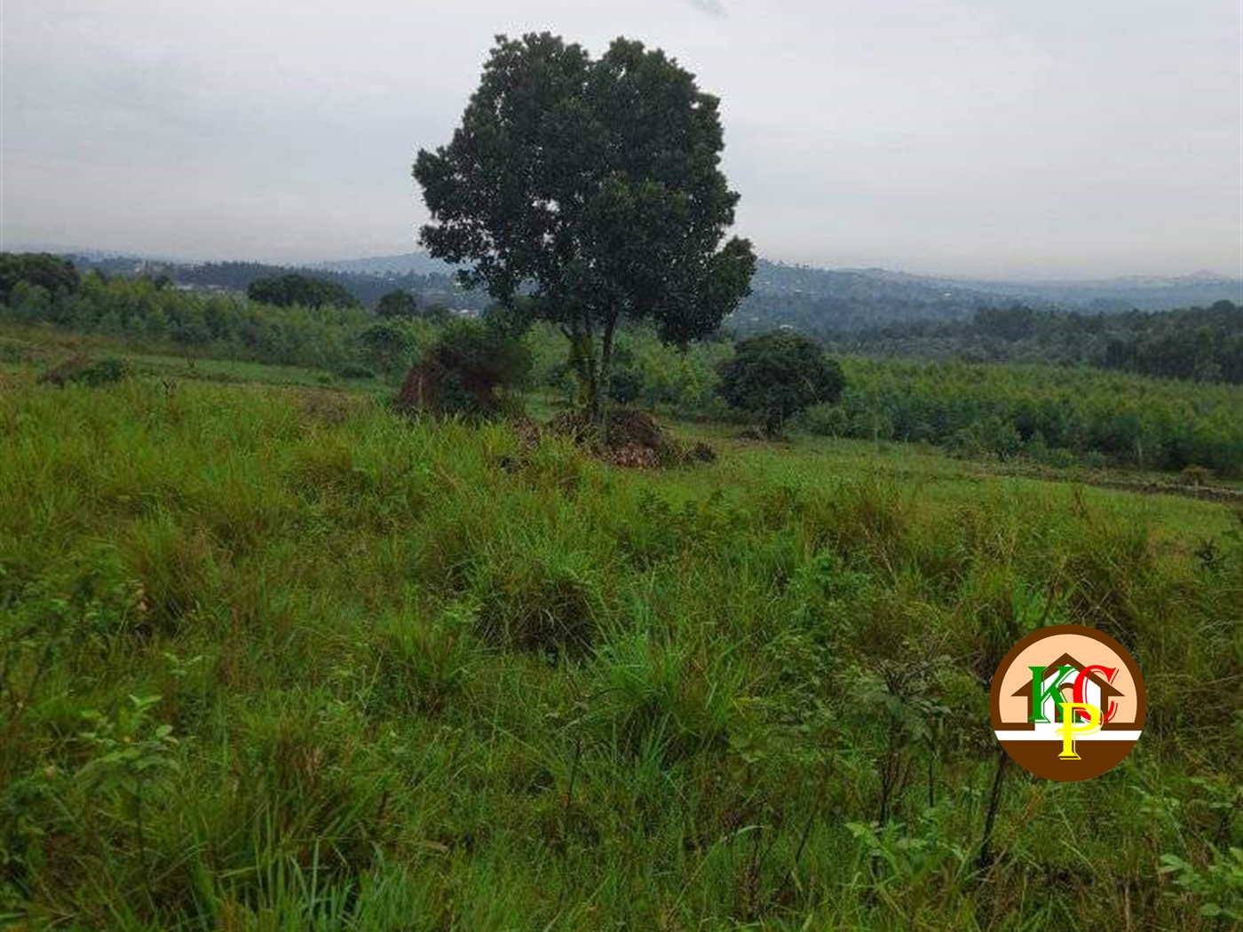 Residential Land for sale in Zigoti Mityana