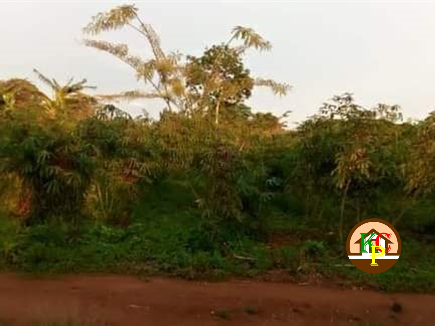 Recreational Land for sale in Mukonot Mukono