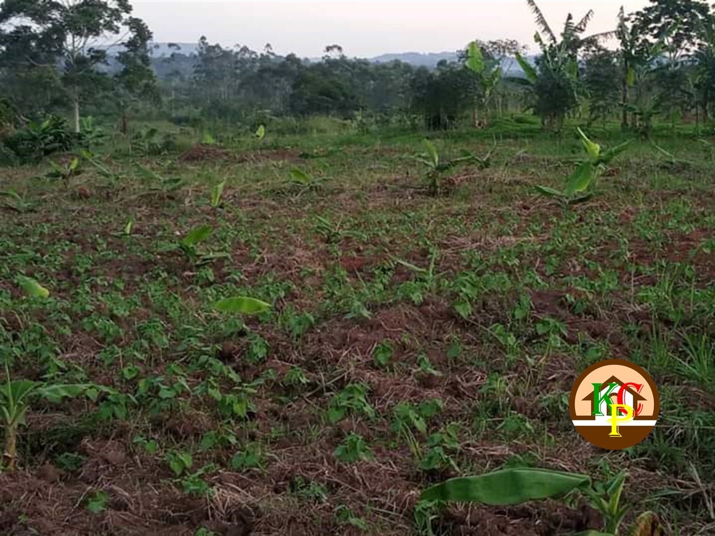 Residential Land for sale in Kiwebwa Wakiso