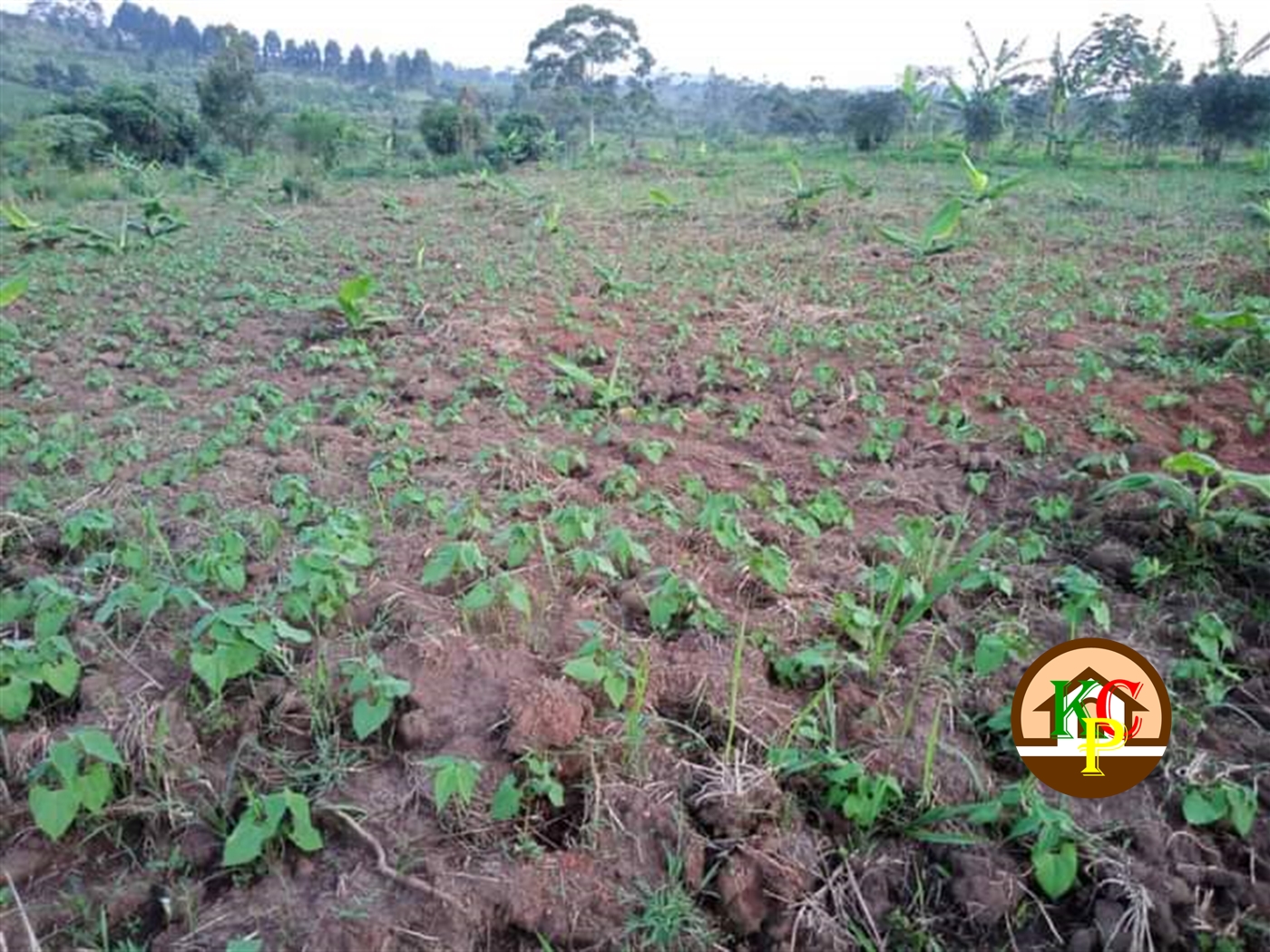 Residential Land for sale in Kiwebwa Wakiso