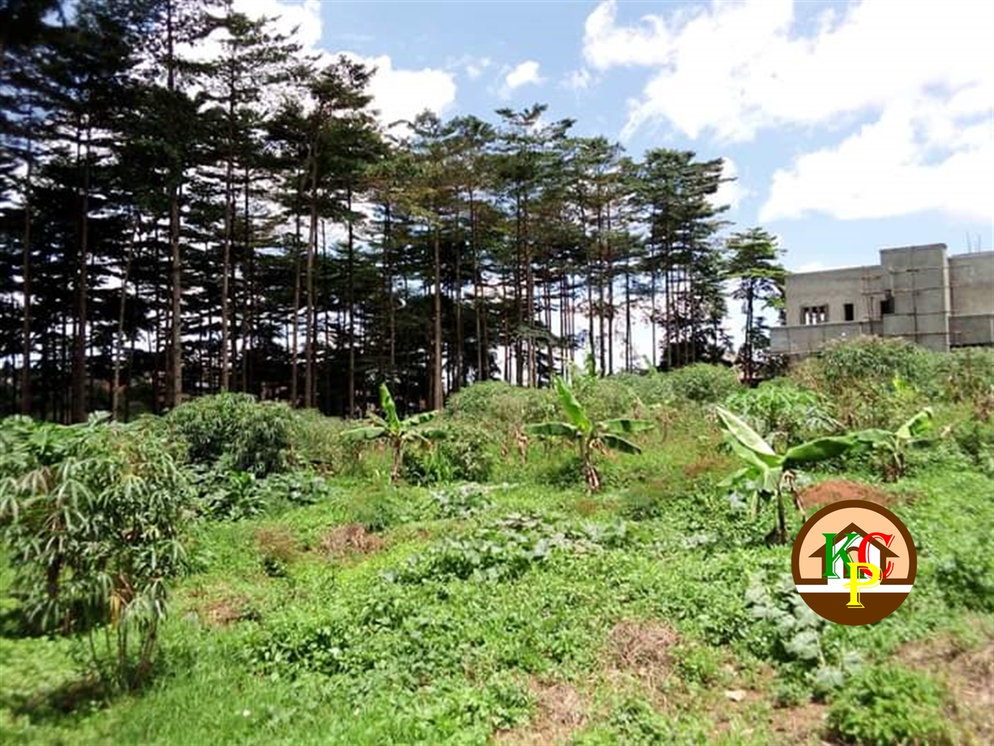 Residential Land for sale in Namugongo Wakiso