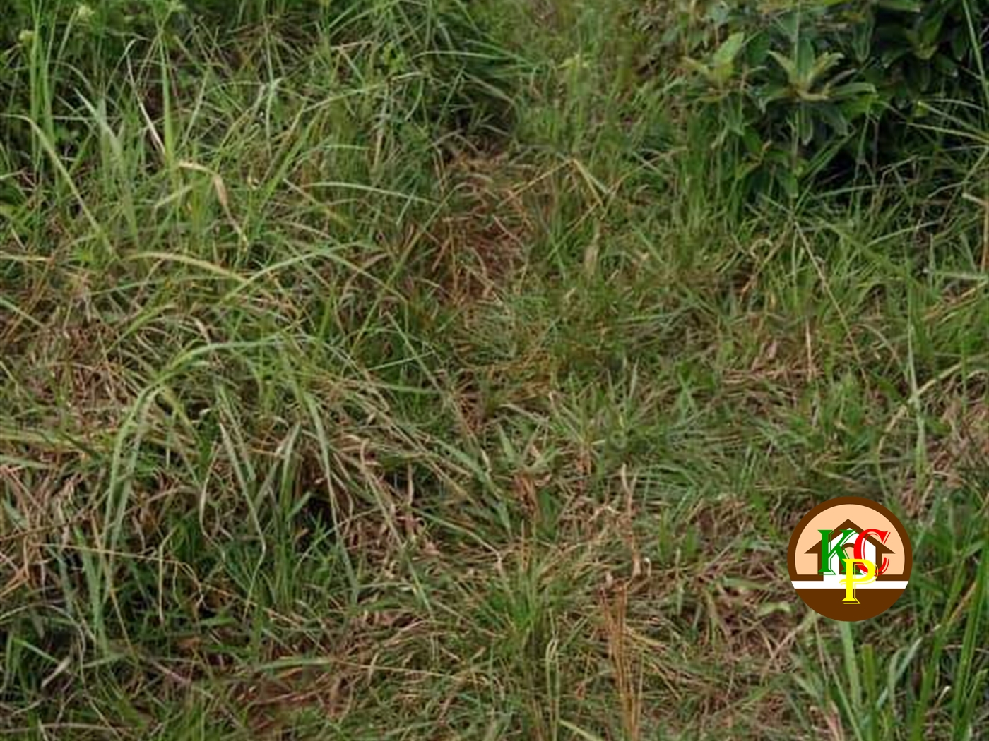 Residential Land for sale in Kakooge Wakiso