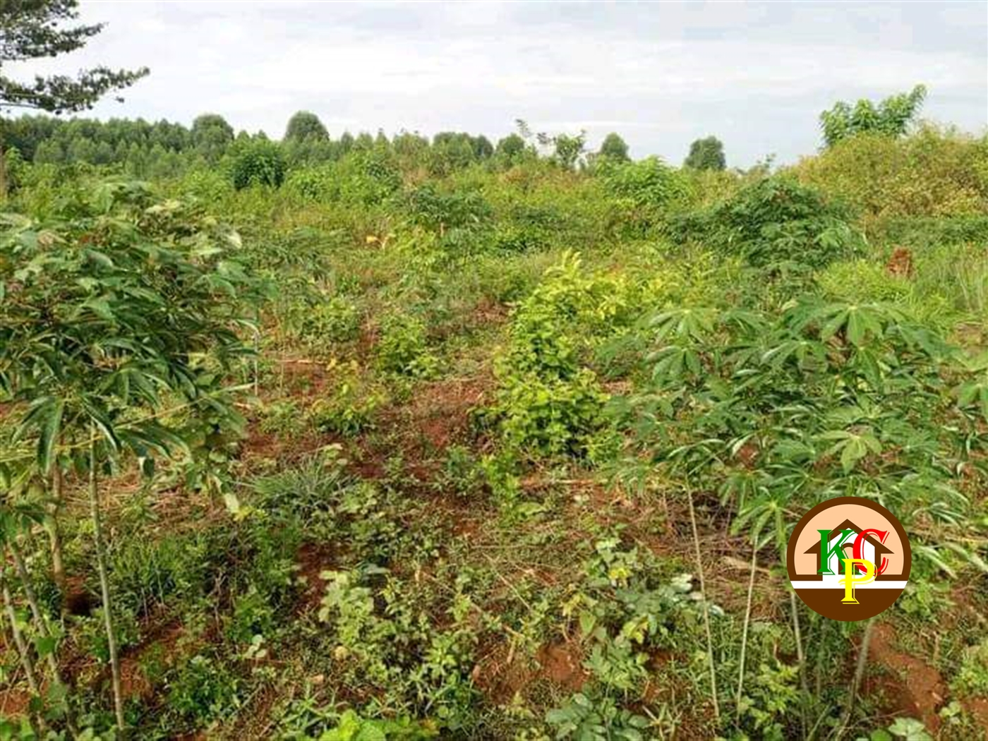 Residential Land for sale in Kakooge Wakiso