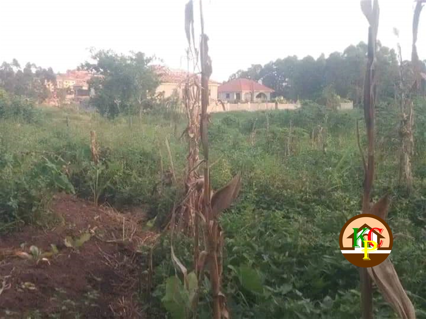 Residential Land for sale in Najjera Wakiso