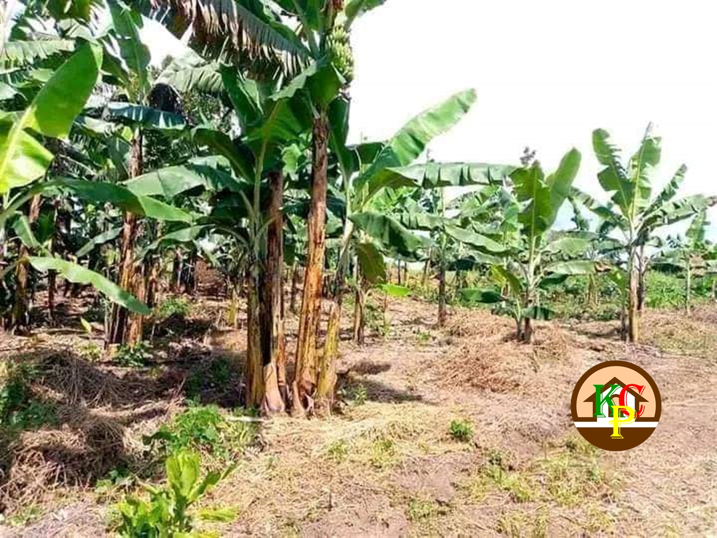 Residential Land for sale in Butalango Nakaseke