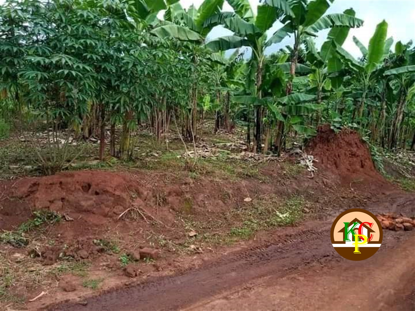 Residential Land for sale in Butalango Nakaseke