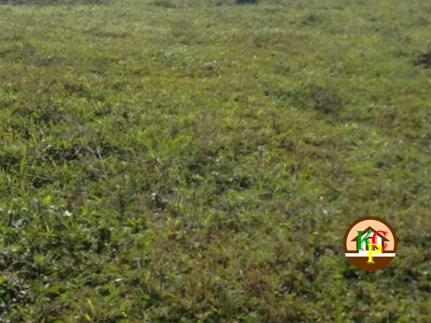 Residential Land for sale in Lugazi Wakiso