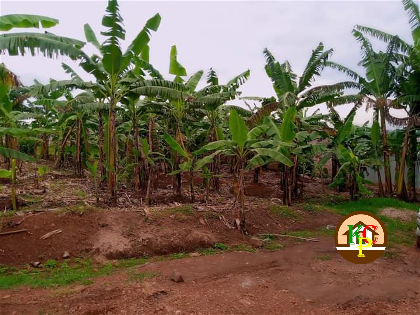 Residential Land for sale in Buto Wakiso