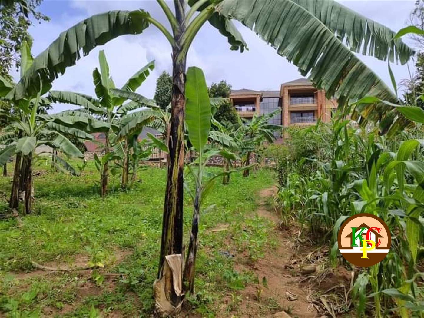 Residential Land for sale in Ndibulungi Luweero