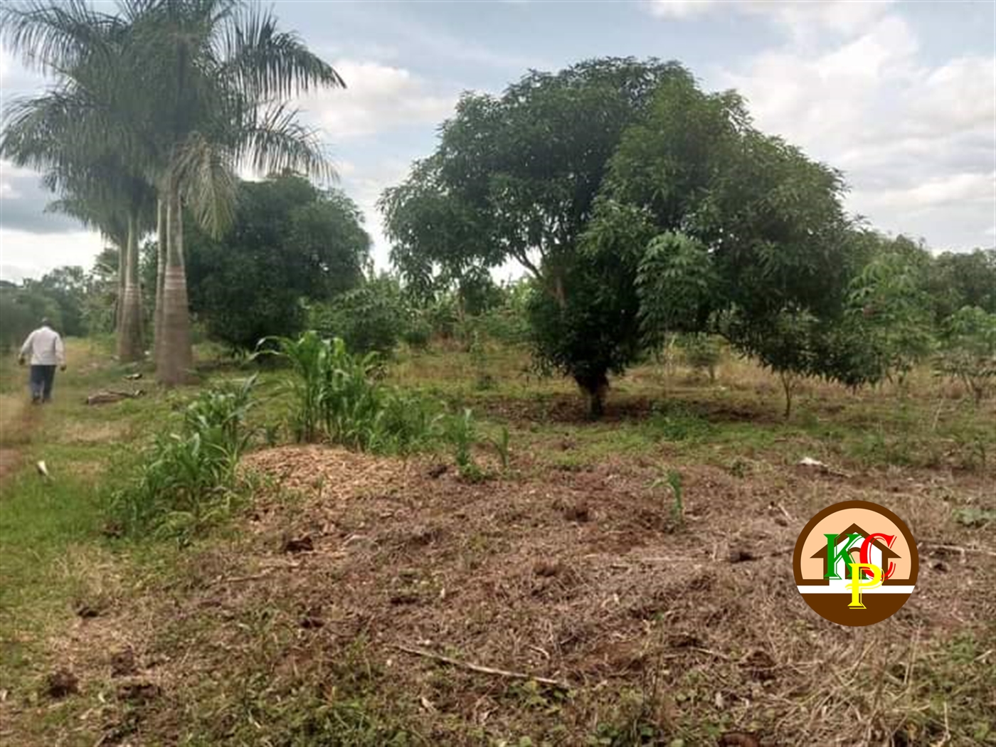 Residential Land for sale in Matugga Kampala