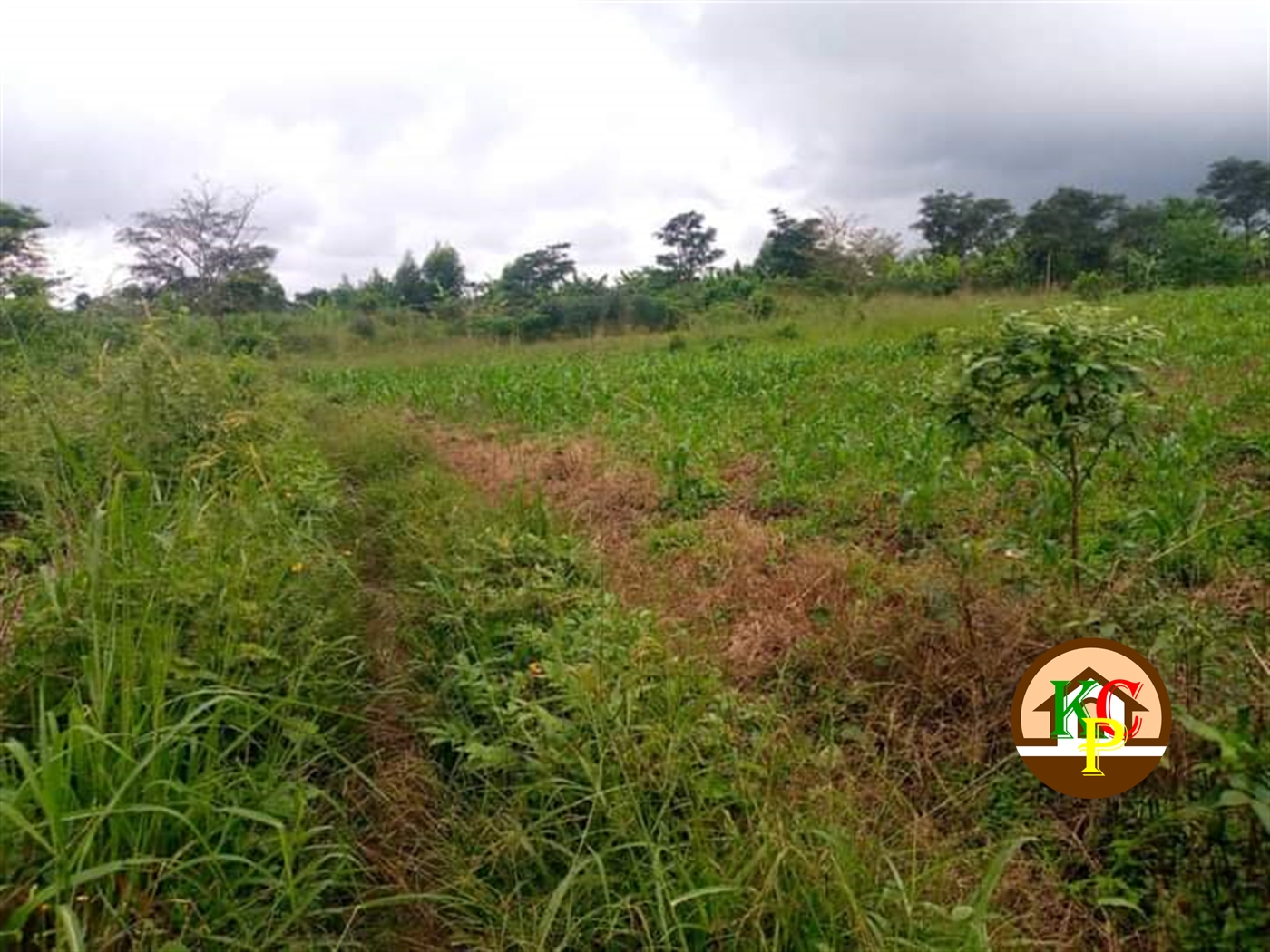 Residential Land for sale in Matugga Kampala