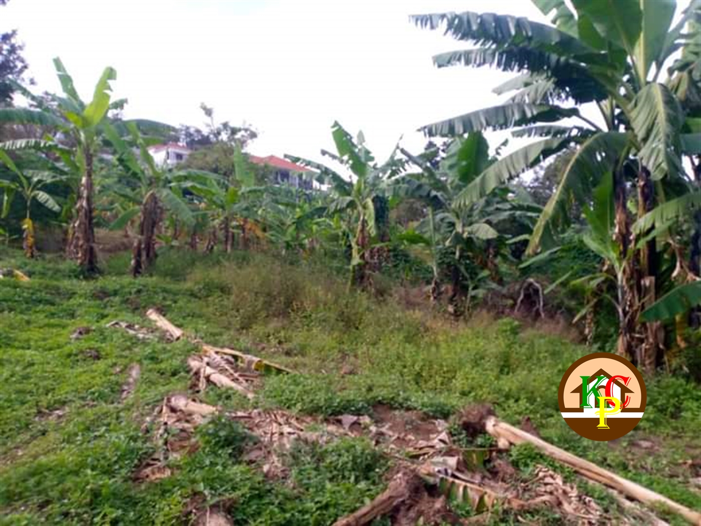 Residential Land for sale in Muyenga Kampala