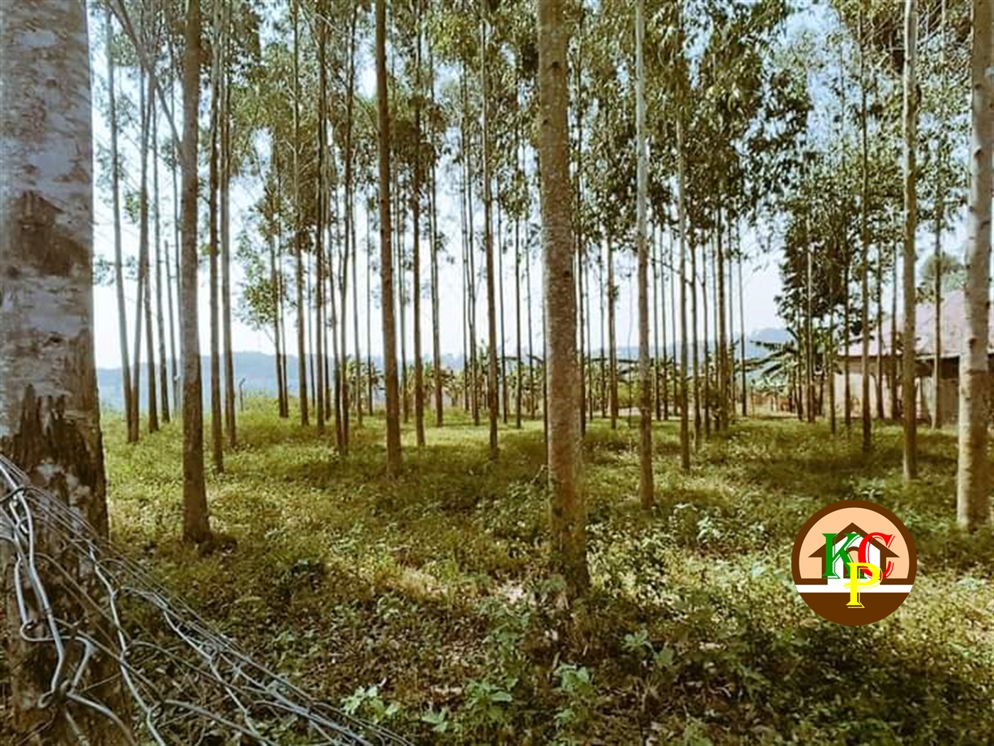 Residential Land for sale in Gayaza Wakiso