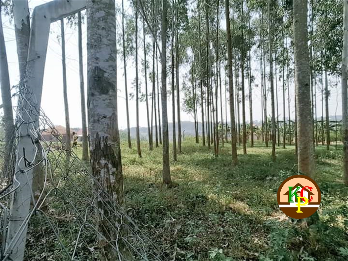 Residential Land for sale in Gayaza Wakiso